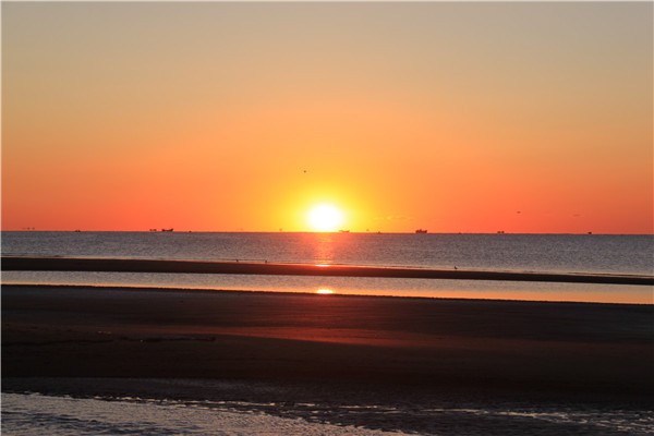 唐山任氏 唐山任氏